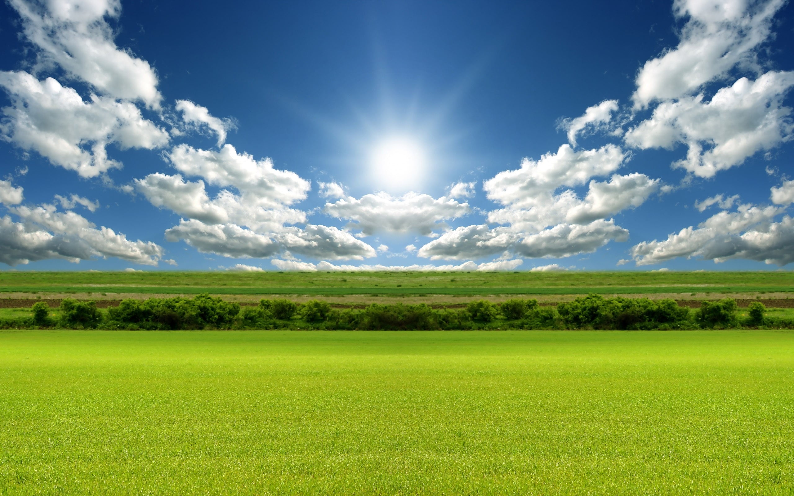 Online crop | landscape photography of green grass field under white