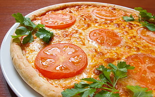 brown pizza with tomatoes and parsley