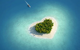 high angle photo of heart island