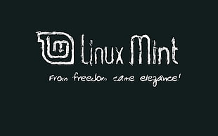 Linux Mint digital wallpaper, Linux, Linux Mint, GNU HD wallpaper