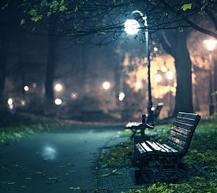 brown wooden bench, bench, lantern, night, lights