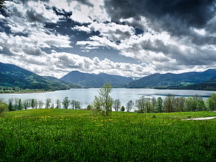 green field near lake under cloudy sky during daytime