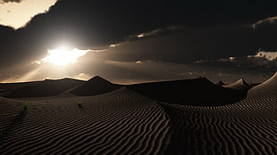 landscape photo of desert, landscape, desert, sand, dune HD wallpaper