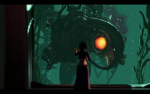 female anime character stand illustration, BioShock Infinite, BioShock, video games, birds