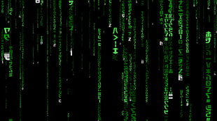 green and black digital wallpaper, The Matrix,  Matrix, minimalism