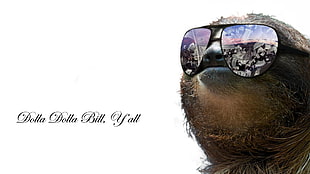 purple aviator sunglasses with frames and text overlay, sloths, quote, glasses, digital art