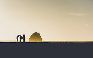 person standing silhouette artwork, landscape, families, beach, sunset
