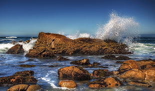 sea wave splashing on brown rock during daytime