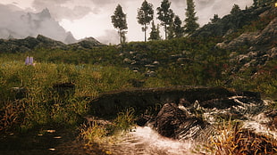 body of water surrounded by trees wallpaper, The Elder Scrolls V: Skyrim, nature, landscape, grass