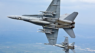 gray fighter jet, military, Finnish Air Force, McDonnell Douglas F/A-18 Hornet HD wallpaper