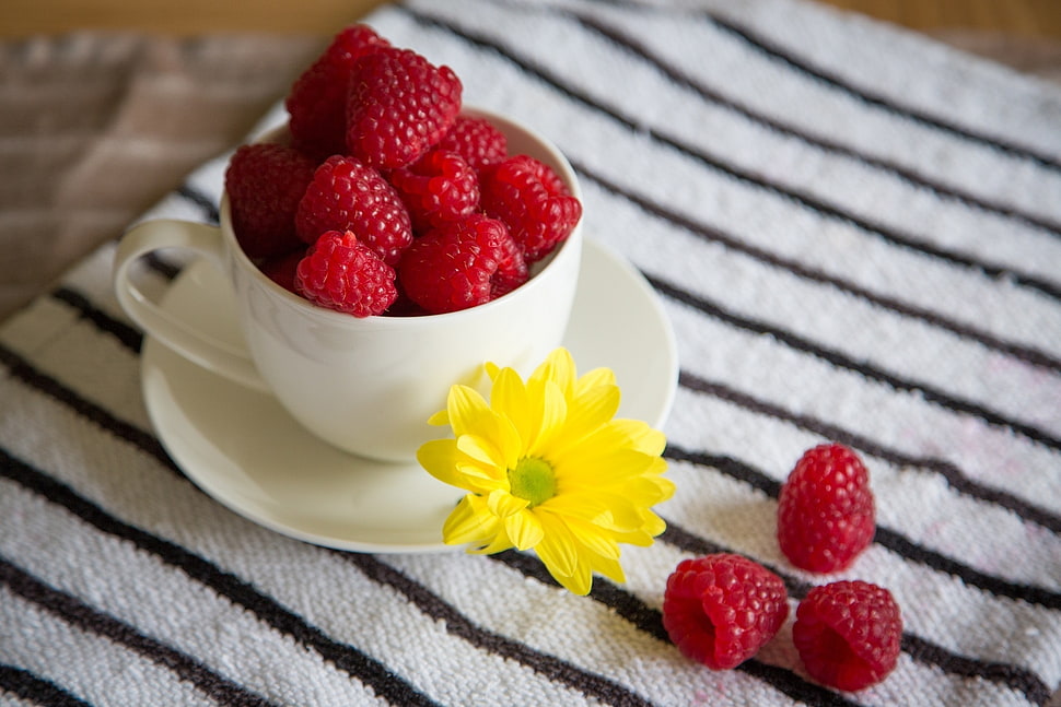 white ceramic teacup with raspberry closeup photography HD wallpaper
