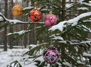 green Christmas tree with purple and red baubles HD wallpaper