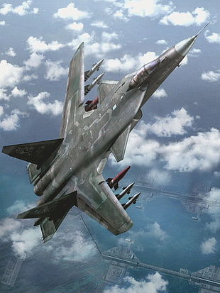 gray fighter plane, jets, Airforce Delta Strike, Sukhoi Su-47, Berkut HD wallpaper