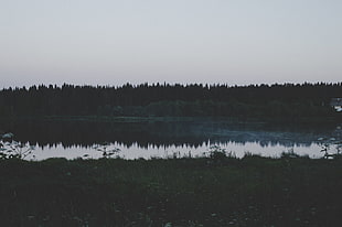 lake and grass field HD wallpaper