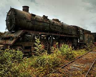 brown and black steamed train, train, steam locomotive, vehicle, wreck