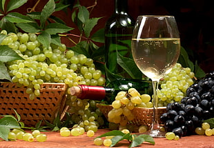 photo of green and purple grapes HD wallpaper