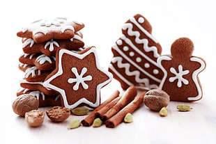 still-life photo of bunch of Gingerbread cookies