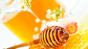 honey syrup and honey dipper, food