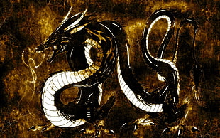 black and white dragon illustration, dragon