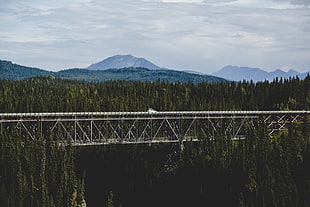 gray metal bridge, road, forest, mountains, bridge HD wallpaper