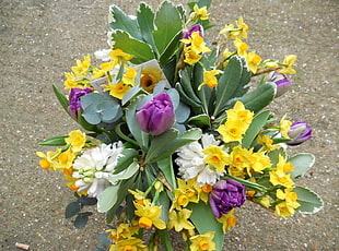 purple, yellow, and white petaled flower bouquet