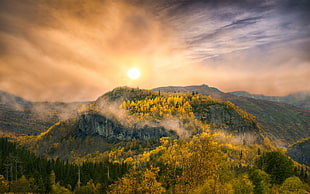 photo of green and yellow tree covered mountain