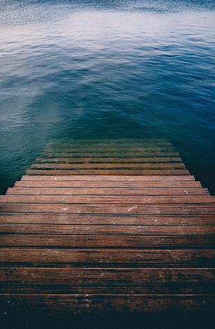 brown wooden staircase, nature, water, wood