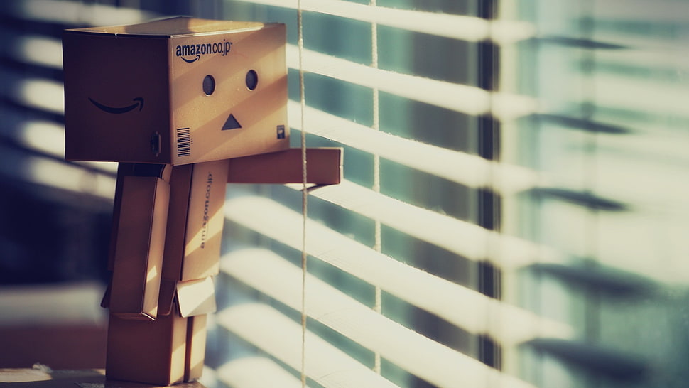 Amazon cartoon box photo, Danbo, Amazon HD wallpaper