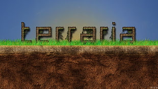 Terraria game application, Terraria, video games