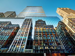glass window high-rise building, city, reflection, skyscraper
