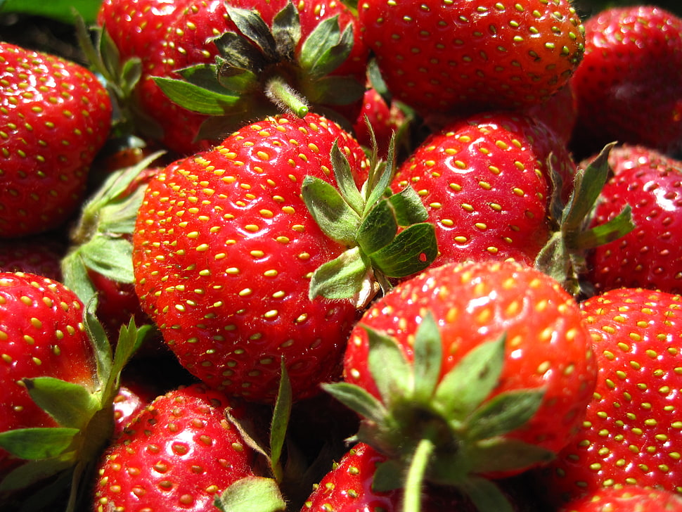 pile of strawberries HD wallpaper