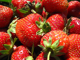 pile of strawberries HD wallpaper