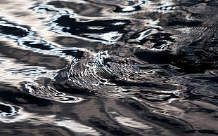 close up photo of body of water HD wallpaper