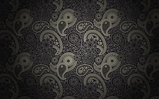 white and black paisley textile, pattern