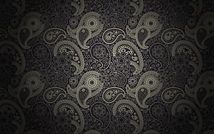 white and black paisley textile, pattern