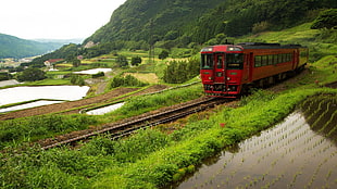 red train, Japan, train, railway