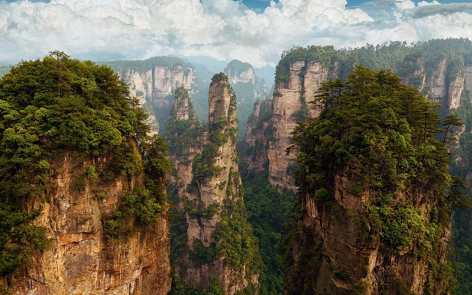 mountain and trees, nature, photography, China, Hunan HD wallpaper
