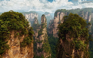 mountain and trees, nature, photography, China, Hunan