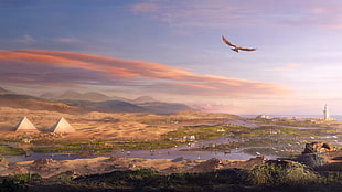 brown pyramid illustration, video games, landscape, Egypt, eagle