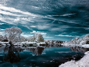 body of water surrounded by trees high-saturated photography