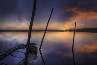 photography of three wood poles reflecting over calm waters HD wallpaper
