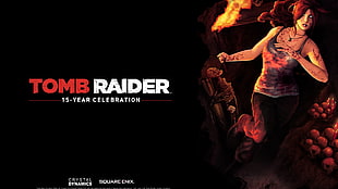 Tomb Raider game poster, Lara Croft, Rise of Tomb Raider, PC gaming