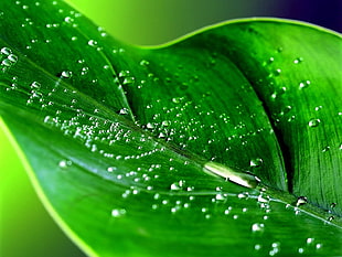 tear drops time lapsed photography