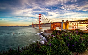 Golden Gate Bridge, USA, Golden Gate Bridge, bridge, architecture
