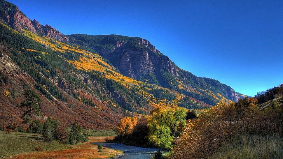 green leafed tree, mountains, river, trees, landscape HD wallpaper