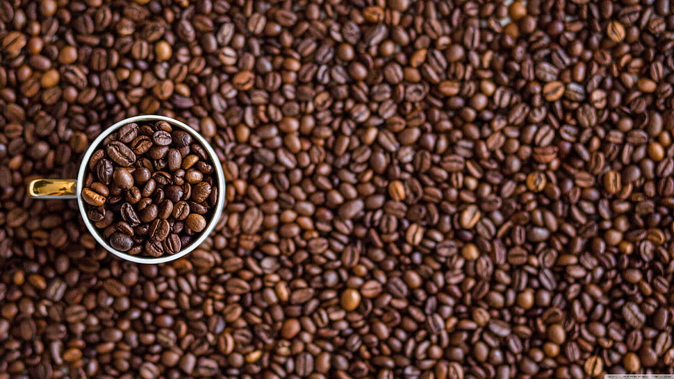 bunch of coffee beans, coffee, macro, cup, closeup HD wallpaper