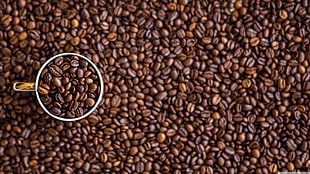 bunch of coffee beans, coffee, macro, cup, closeup HD wallpaper