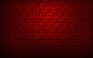Patterns,  Shade,  Bright,  Texture