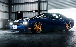 blue coupe, Dodge, Dodge Challenger SRT, car HD wallpaper