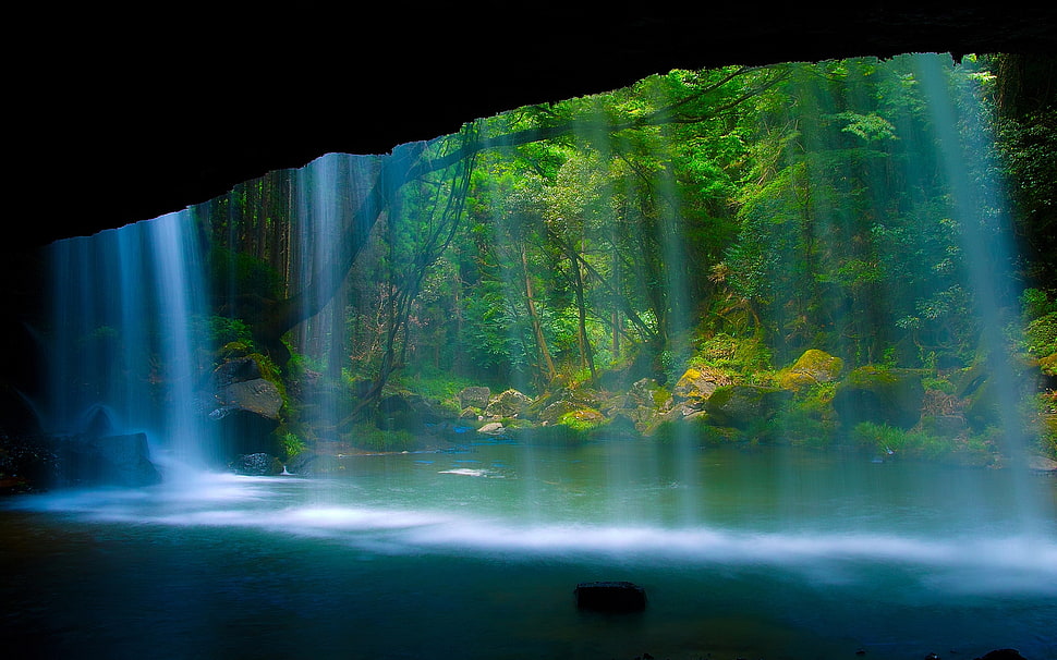 forest near waterfalls during daytime HD wallpaper